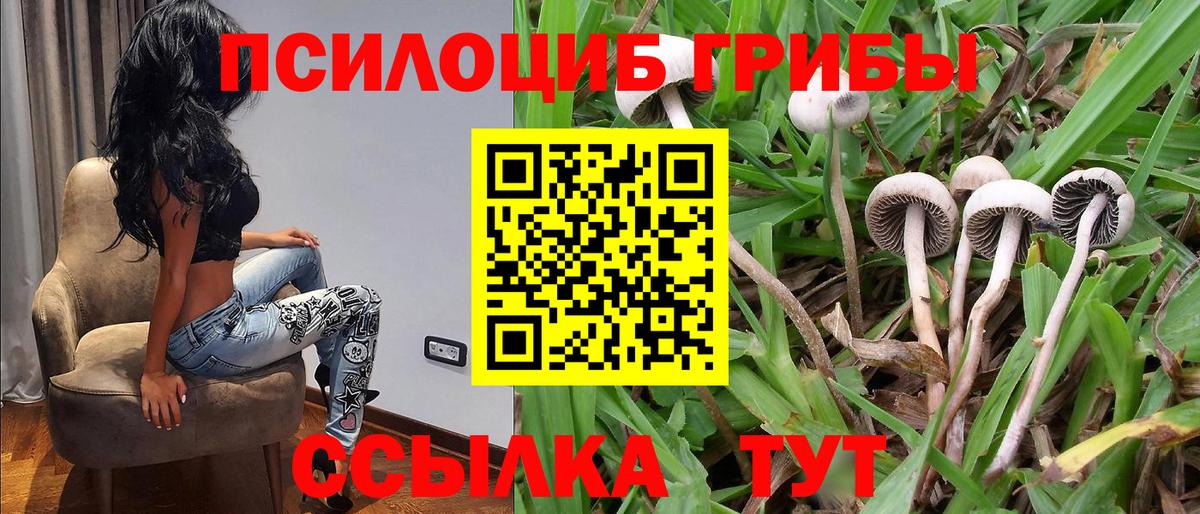 Псилоцибиновые грибы Cubensis  Галлюциногенные грибы GOLDEN TEACHER  Вход с VPN  Дятьково 